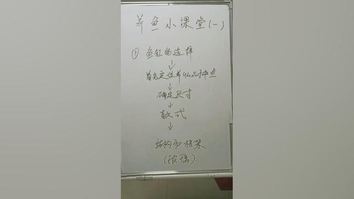 鱼缸好坏如何选择视频，亚克力鱼缸与玻璃鱼缸比较高效过滤系统的选择技巧 鱼缸百科 第4张