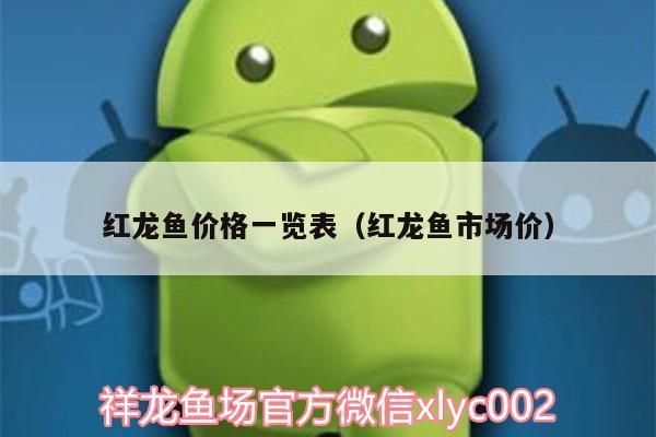 普通红龙鱼多少钱一条啊，普通红龙鱼价格大致在50元至200元至200元之间