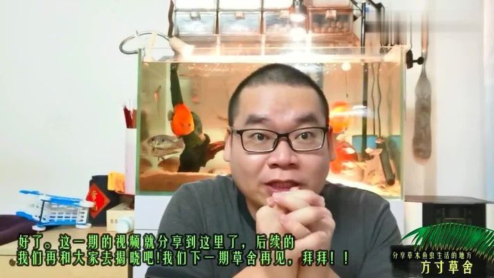 鱼缸羊毛棉好不好，羊毛棉与其他过滤材料比较如何正确清洗鱼缸羊毛棉 鱼缸百科 第4张