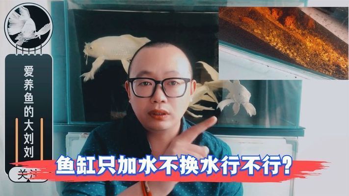 鱼缸可以不换水一直加水吗视频，如何建立和维护鱼缸水质检测方法 鱼缸百科 第4张