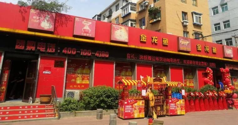 金龙鱼专卖店怎么样，金龙鱼专卖店在产品质量、价格、服务、品种选择和品种选择 龙鱼百科 第5张