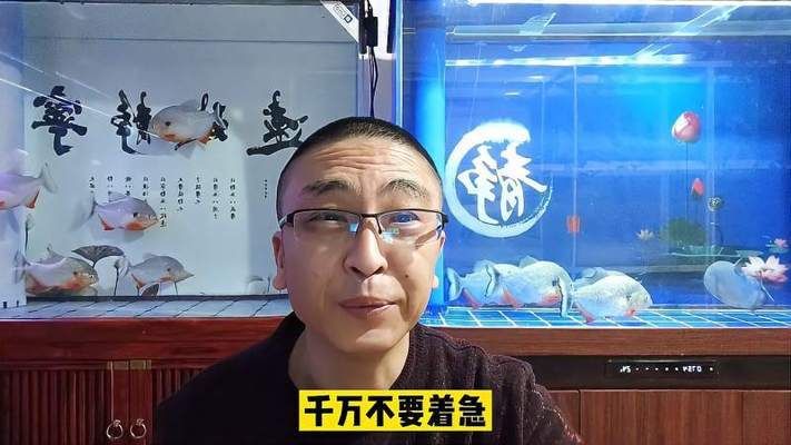 鱼缸水白浊加硝化细菌有用吗视频，如何判断硝化细菌效果鱼缸水质改善的其他方法 鱼缸百科 第4张