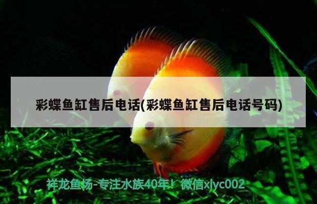 彩蝶鱼缸官方售后电话是多少，彩蝶鱼缸官方售后电话4006-999-999 鱼缸百科 第1张