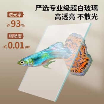 森森鱼缸60公分宽有哪几种，60公分鱼缸造景搭配技巧 鱼缸百科 第5张