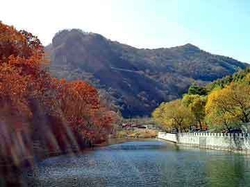 龙鱼鱼缸背景，如何自制龙鱼鱼缸背景