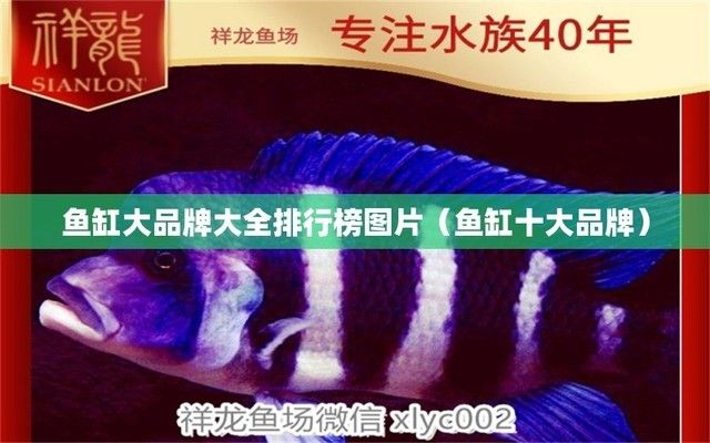 鱼缸品牌有哪些名字图片，鱼缸品牌性价比排行 鱼缸百科 第5张