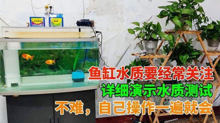 鱼缸水质检测方法介绍，鱼缸水质检测 观赏鱼市场（混养鱼） 第3张