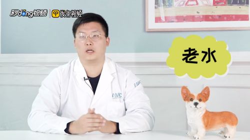 鱼缸养鱼用什么水最好视频，鱼缸养鱼用什么水最好 鱼缸百科 第1张