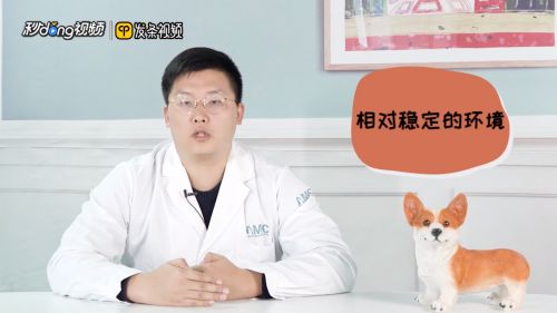 鱼缸养鱼用什么水最好视频，鱼缸养鱼用什么水最好 鱼缸百科 第3张