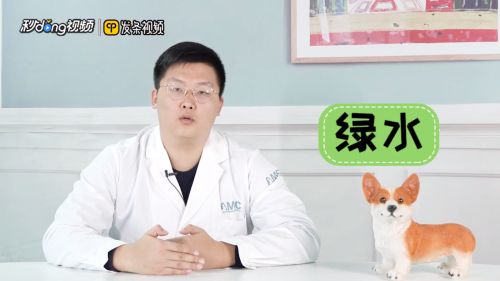 鱼缸养鱼用什么水最好视频，鱼缸养鱼用什么水最好 鱼缸百科 第5张