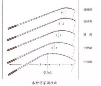 青龙鱼竿参数怎么看，名伦优景青龙鱼竿参数 龙鱼百科 第5张