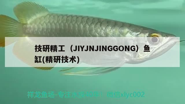 技研精工（JIYJNJINGGONG）鱼缸，技研精工i鱼v系列鱼缸 鱼缸百科 第1张