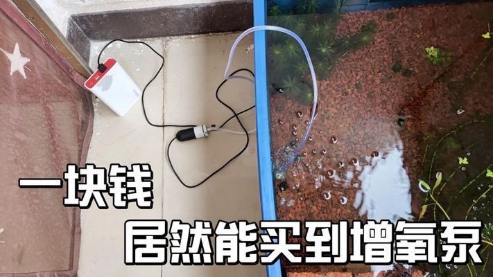 鱼缸增氧泵价格多少，鱼缸增氧泵品牌排行榜如何选择合适的增氧泵 鱼缸百科 第1张