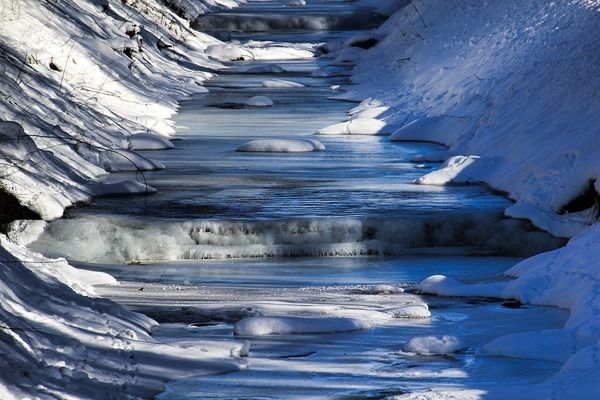 龙鱼在多少度下会死，龙鱼在水温低于16℃到18℃时面临生命危险，龙鱼水温过高怎么办 龙鱼百科 第4张