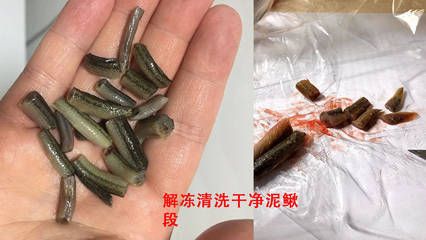 巴西亚鱼繁殖技术要点，巴西亚鱼繁殖期饵料选择,巴西亚鱼繁殖后护理方法 观赏鱼市场（混养鱼） 第3张