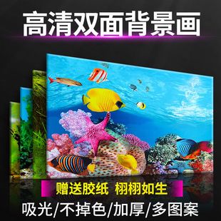 鱼缸背景图 3d高清图片，3d高清的鱼缸背景图 鱼缸百科 第1张