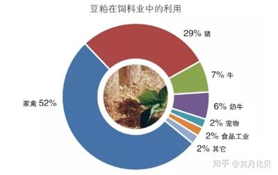 大豆价格波动对饲料业影响，大豆价格波动对饲料业产生了显著影响 观赏鱼市场（混养鱼） 第3张