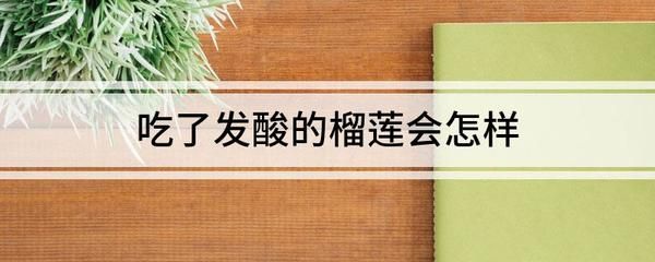 榴莲引发的胃肠炎如何急救，榴莲被誉为“水果之王”，过量食用可能导致胃肠上火 观赏鱼市场（混养鱼） 第5张