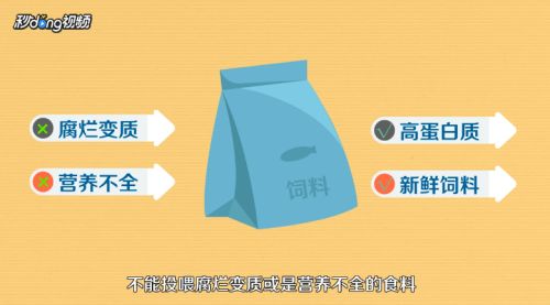 招财鱼繁殖后如何分养，招财鱼繁殖后亲鱼管理技巧