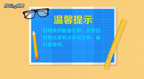 招财鱼繁殖后如何分养，招财鱼繁殖后亲鱼管理技巧 观赏鱼市场（混养鱼） 第5张