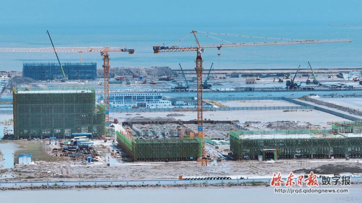 金龙鱼在建项目，金龙鱼公司正在建设一个新的项目位于中国某个城市 龙鱼百科 第1张