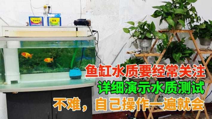 杰西卡鱼缸水质检测技巧，鱼缸水质检测工具推荐，鱼缸过滤系统选择指南 观赏鱼市场（混养鱼） 第1张