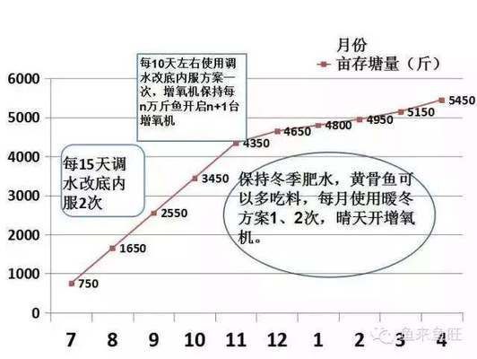 柠檬鲫购买渠道信誉评估，寻找柠檬鲫的购买渠道可以考虑以下几个主要途径 观赏鱼市场（混养鱼）