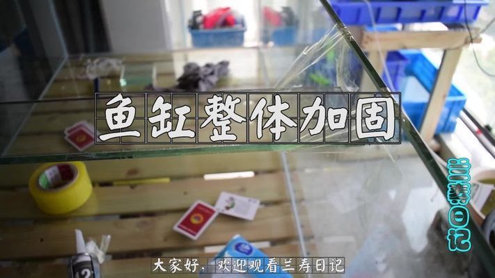 立体式鱼缸安装，立体式鱼缸安装方法 鱼缸百科 第5张