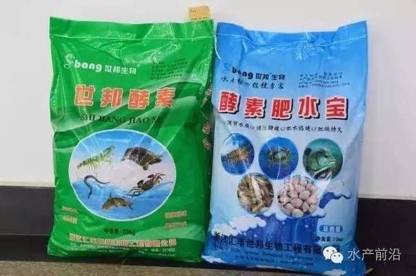 福满钻鱼专用饲料品牌推荐 观赏鱼市场（混养鱼） 第2张