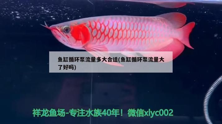 森森鱼缸价格表，森森鱼缸价格表森森鱼缸价格表 鱼缸百科 第1张