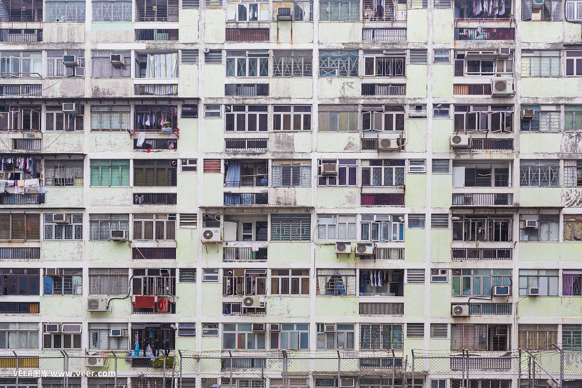 香港魟鱼，香港魟鱼的保护 鱼缸百科 第4张