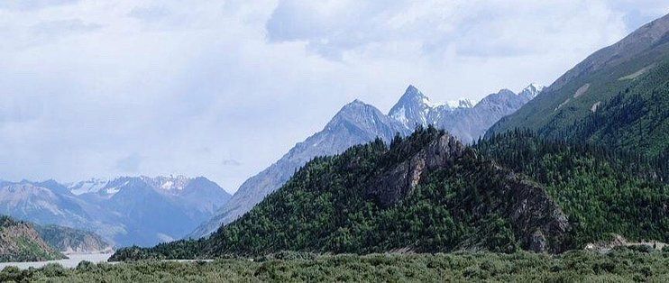 观赏鱼繁殖的通用技巧，如何挑选优质亲鱼,繁殖后幼鱼养护方法 观赏鱼市场（混养鱼） 第4张