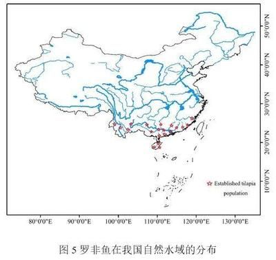 地图鱼养殖中如何防治疾病？，地图鱼养殖中疾病防治的具体措施 观赏鱼市场（混养鱼） 第4张