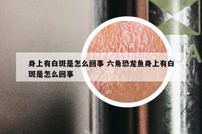 六角恐龙鱼身上有白点正常吗，六角恐龙鱼身上出现白点可能是由多种原因引起的 龙鱼百科 第3张