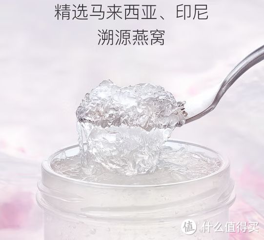 马来西亚燕窝 鱼缸百科 第4张