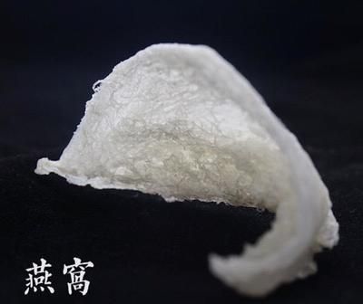 马来西亚燕窝 鱼缸百科 第2张