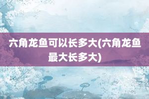 六角龙鱼适合家养吗，六角龙鱼是否适合家养 龙鱼百科 第3张