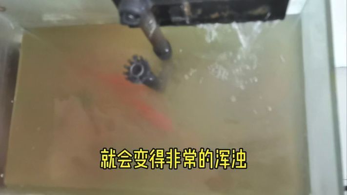 鱼缸水突然浑浊了，如何正确使用uv紫外线杀菌灯？鱼缸水浑浊时如何选择清洁剂？ 鱼缸百科 第4张