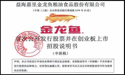 金龙鱼营收构成，金龙鱼的营收构成 龙鱼百科 第5张