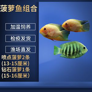 黑云鱼冬季防病措施，黑云鱼冬季养殖水温控制技巧黑云鱼冬季防病药物使用建议 观赏鱼市场（混养鱼） 第5张