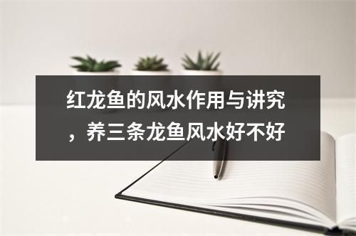 红龙鱼如何影响家庭氛围，红龙鱼如何影响家庭氛围的几个方面 观赏鱼市场（混养鱼） 第4张