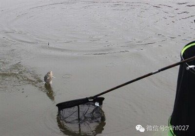 什么龙鱼缸好用又便宜，闽江水族龙鱼缸怎么选 鱼缸百科 第2张