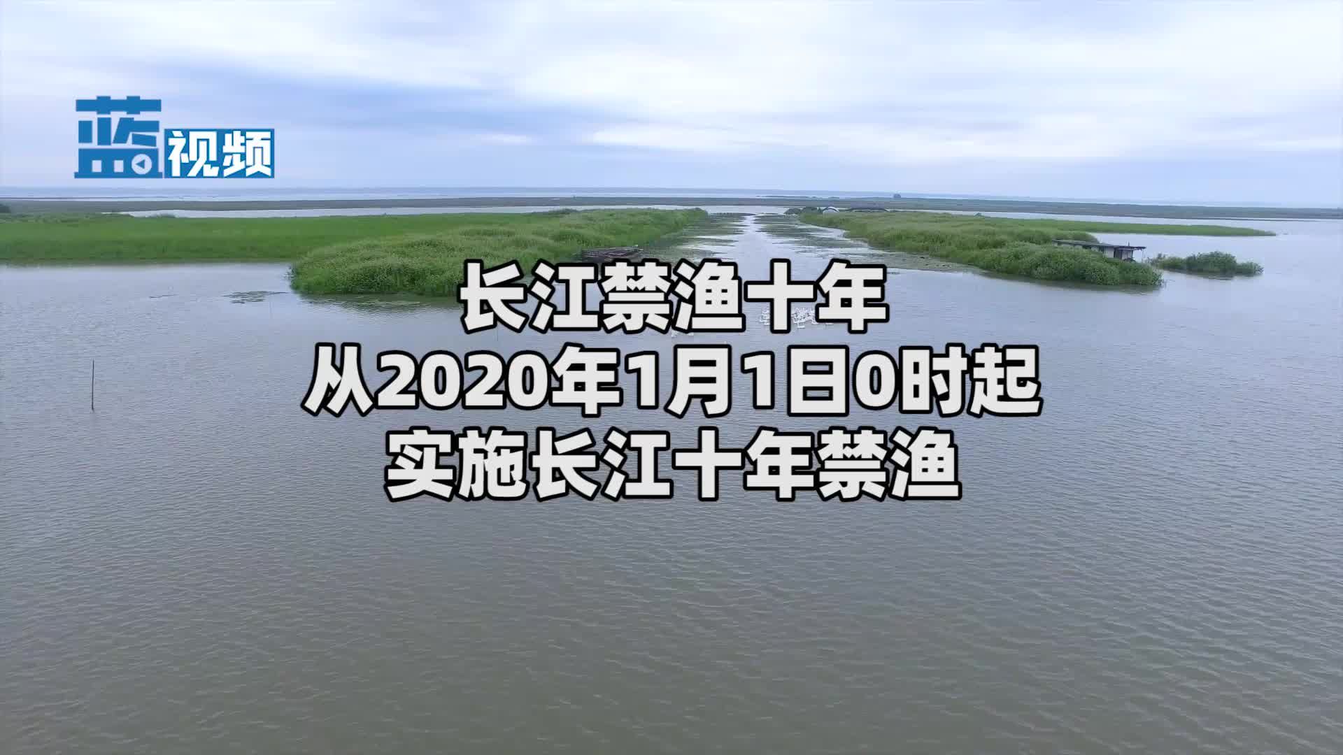 长江禁渔政策影响评估，长江禁渔对渔民生活的影响 观赏鱼市场（混养鱼） 第2张