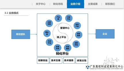 龙鱼苗多少钱一只，购买龙鱼苗之前，我应该了解哪些关于养殖和护理的知识？ 水族问答