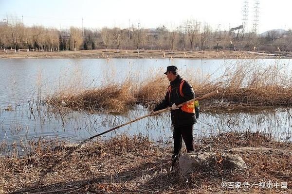 龙鱼缸什么鱼清洁最好养，龙鱼缸的清洁与养鱼选择 水族问答