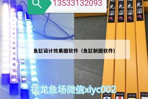 龙鱼阁鱼缸app免费下载，龙鱼阁鱼缸app最新版本特性 鱼缸百科 第1张