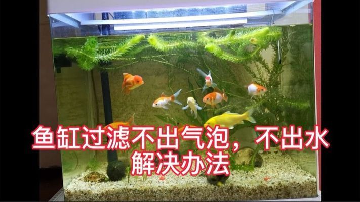 鱼缸过滤器不出氧气只出水，如何正确维护鱼缸过滤器 鱼缸百科 第6张