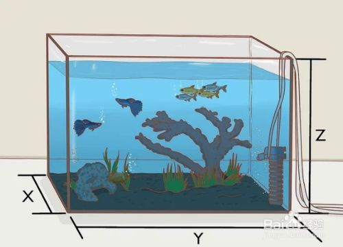 小学一年级数学题鱼缸和鱼，小学一年级数学题摘要：鱼缸容积、计算鱼的数量以及理解 鱼缸百科 第1张