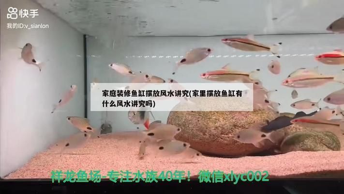 鱼缸过滤器怎么按，鱼缸过滤器维护周期如何选择适合的过滤器 鱼缸百科 第6张