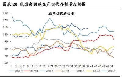 金龙鱼走势分析图表，金龙鱼股票走势分析图表 龙鱼百科 第2张